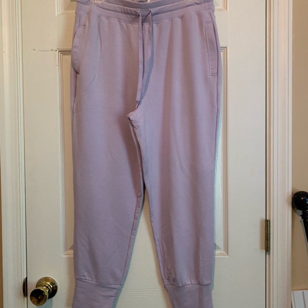 Fabletics Joggers - image 1